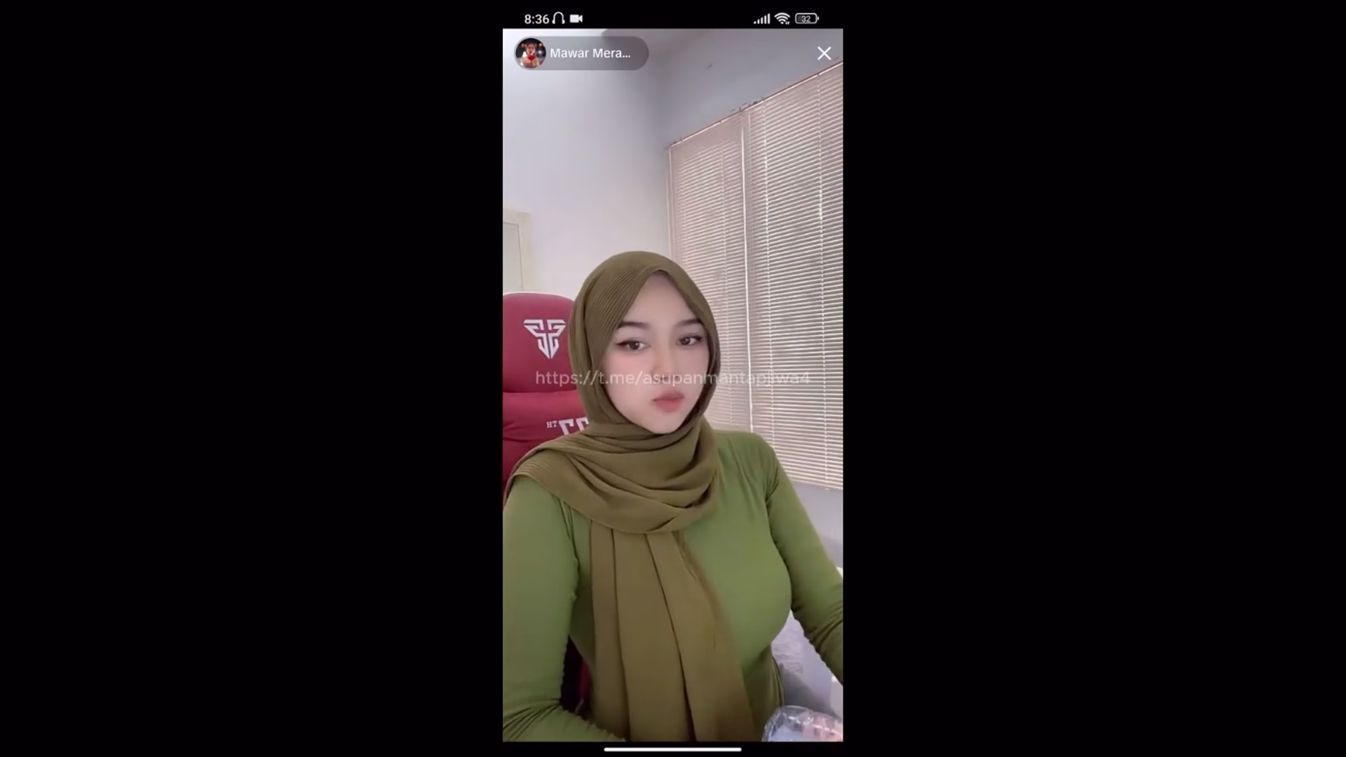 Mawar Merah Malay Tudung Live Mango
